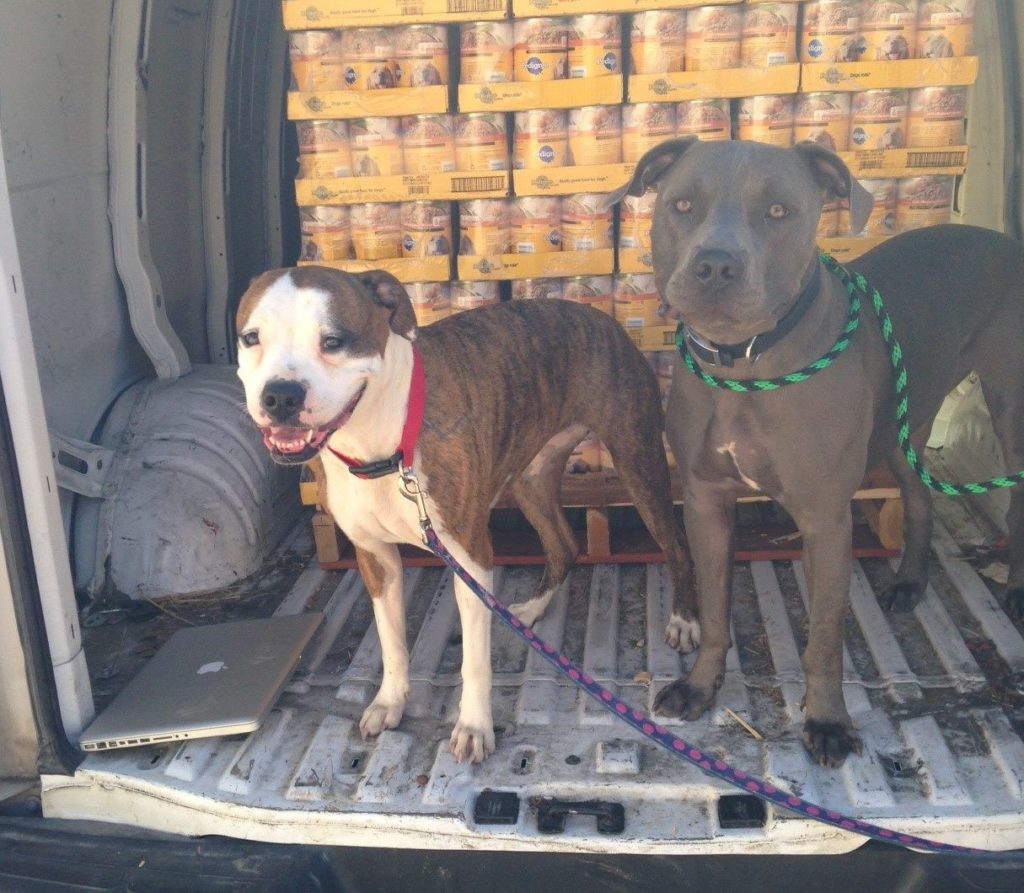 This is Lilly and Blaze from Legacy of Hope Animal Rescue in Broken Arrow OK saying "Yum, Thanks Rescue Bank and Mars for the great canned Pedigree!" at the latest distribution by our affiliate Pets and People. Legacy of Hope places around 80 dogs each year! We are so glad we can help!