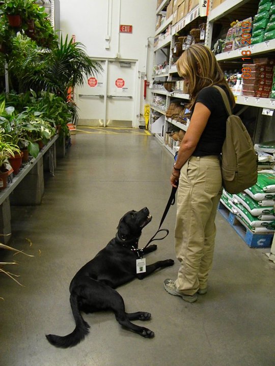 Sherry and a service dog working on being calm and focused in public. Image source: Best Friends