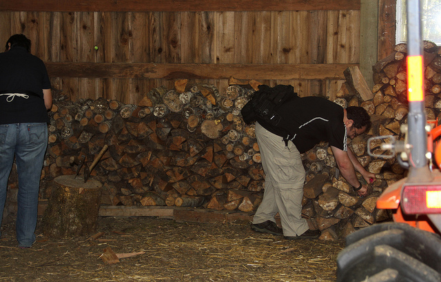 Preparing the Barn Hunt! Image source: Call of the Wild Reactive Dog Camp