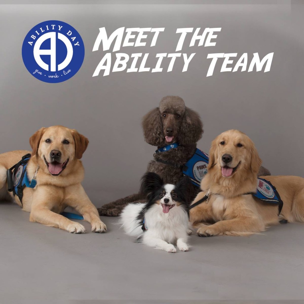 Each of these PAWS Assistance Dog help their humans gain ability! You can give more PAWS Clients ability today! Image source: Paws With A Cause 