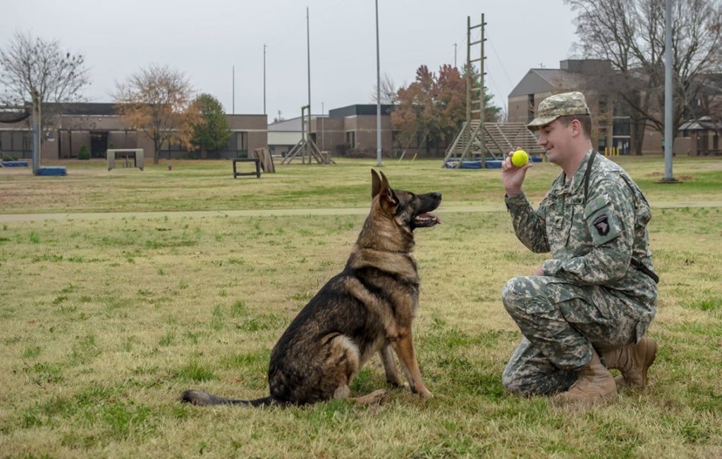 MWD Matty and Specialist Brent Grommet. Image source: American Humane Association