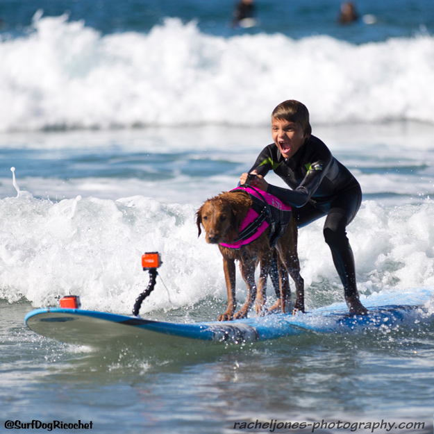 Ricochet with Patrick - she kept the board balanced the entire time. Image source: Surf Dog Ricochet