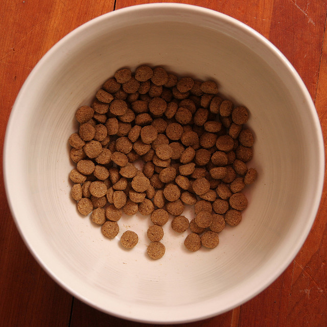 There is no way to tell by looking at your dog's food what's inside. Image source: @JnL via Flickr