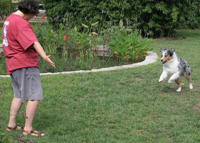 This lady is obviously acting excited to get her dog to be excited to run toward - a great tactic to get a quick recall Image source: CrystalRolfe via Flickr