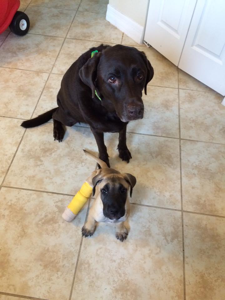 Rosey with her Foster brother