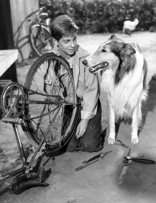 Image source: "Lassie and Tommy Rettig 1956" by Batten, Barton, Durstine & Osborn for the show's sponsor, Campbell's Soup. It was not uncommon in the 1950s and 1960s for publicity material to be distributed by either an advertising or public relations agency. - eBay itemphoto frontphoto back. Licensed under Public Domain via Commons 