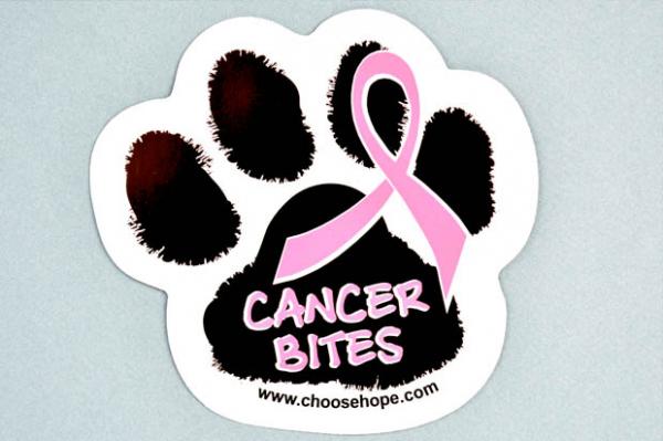 12 Cancer-Bites-Pet-Awareness-Magnet-Breast-Cancer-Pink-33773692-600_430