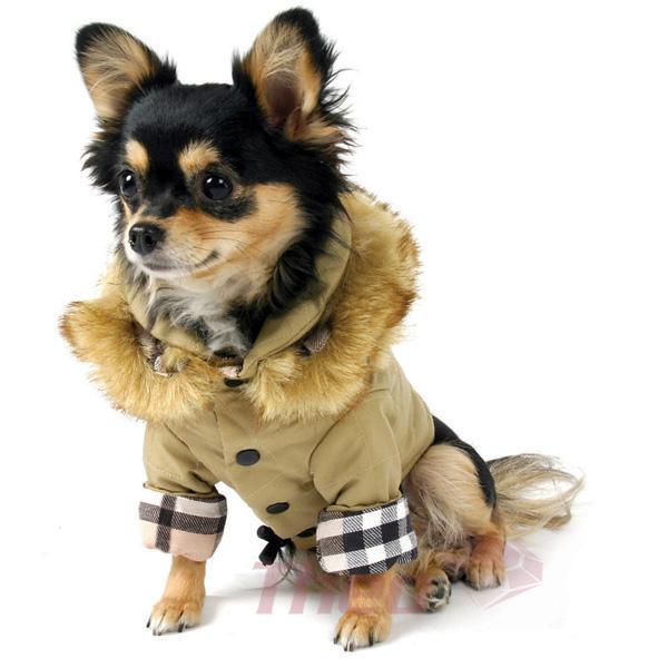 15 Stylish Dog Jackets Your Pup Can 