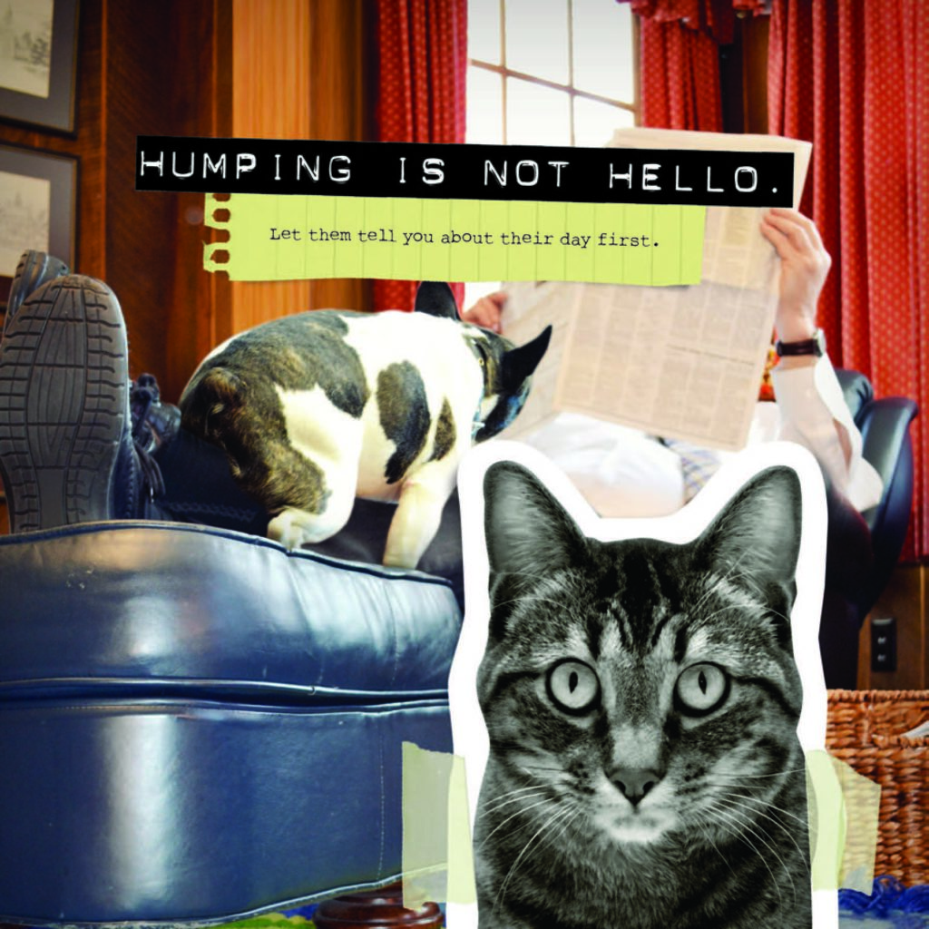 DFWYS_Humping Is Not Hello
