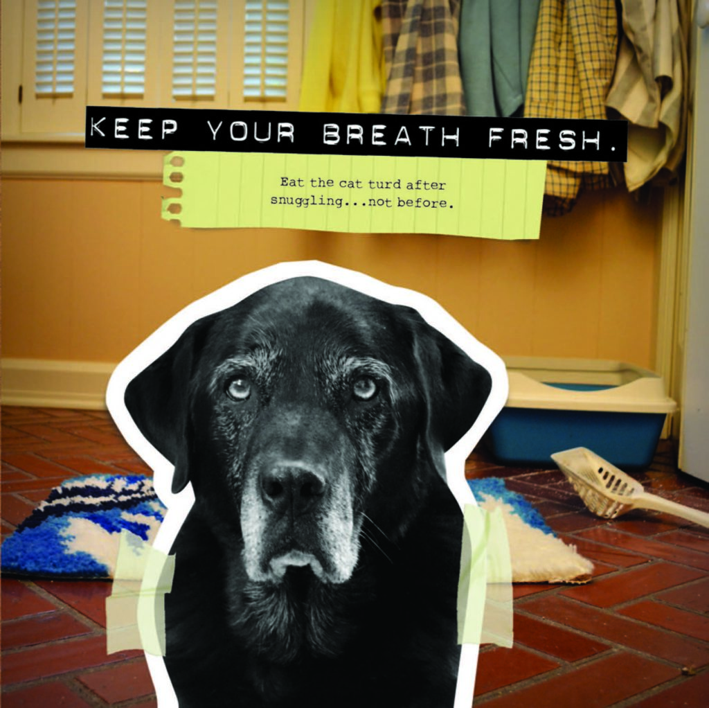 DFWYS_Keep Your Breath Fresh