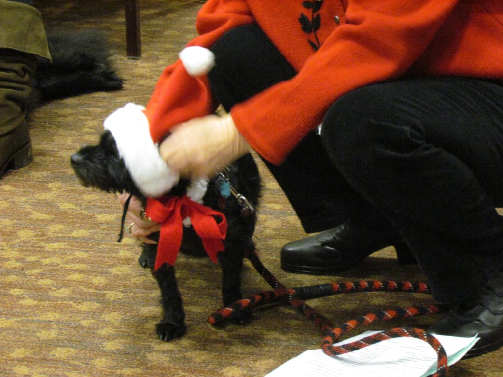 One of Greenspring’s canine inhabitants enjoying the Holiday Pet Parade in 2014. Image source: Greenspring