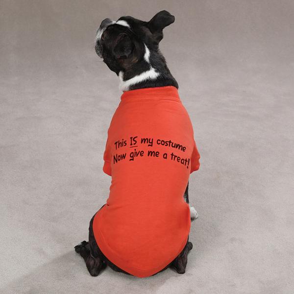 this-is-my-costume-halloween-dog-tshirt-1