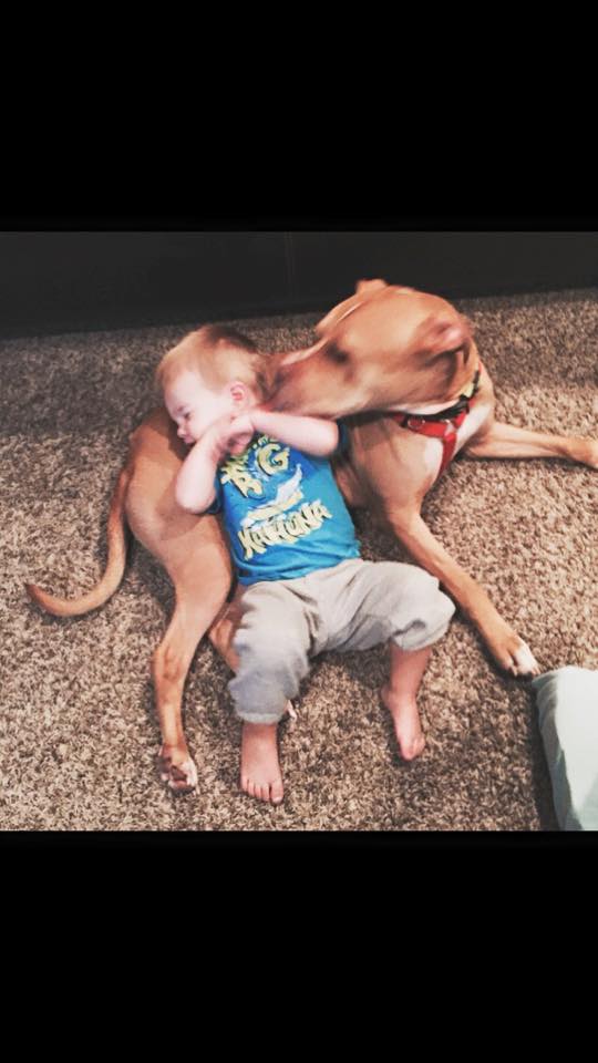 Bruno with his foster kid. Image source: It's A Ruff Life Rescue