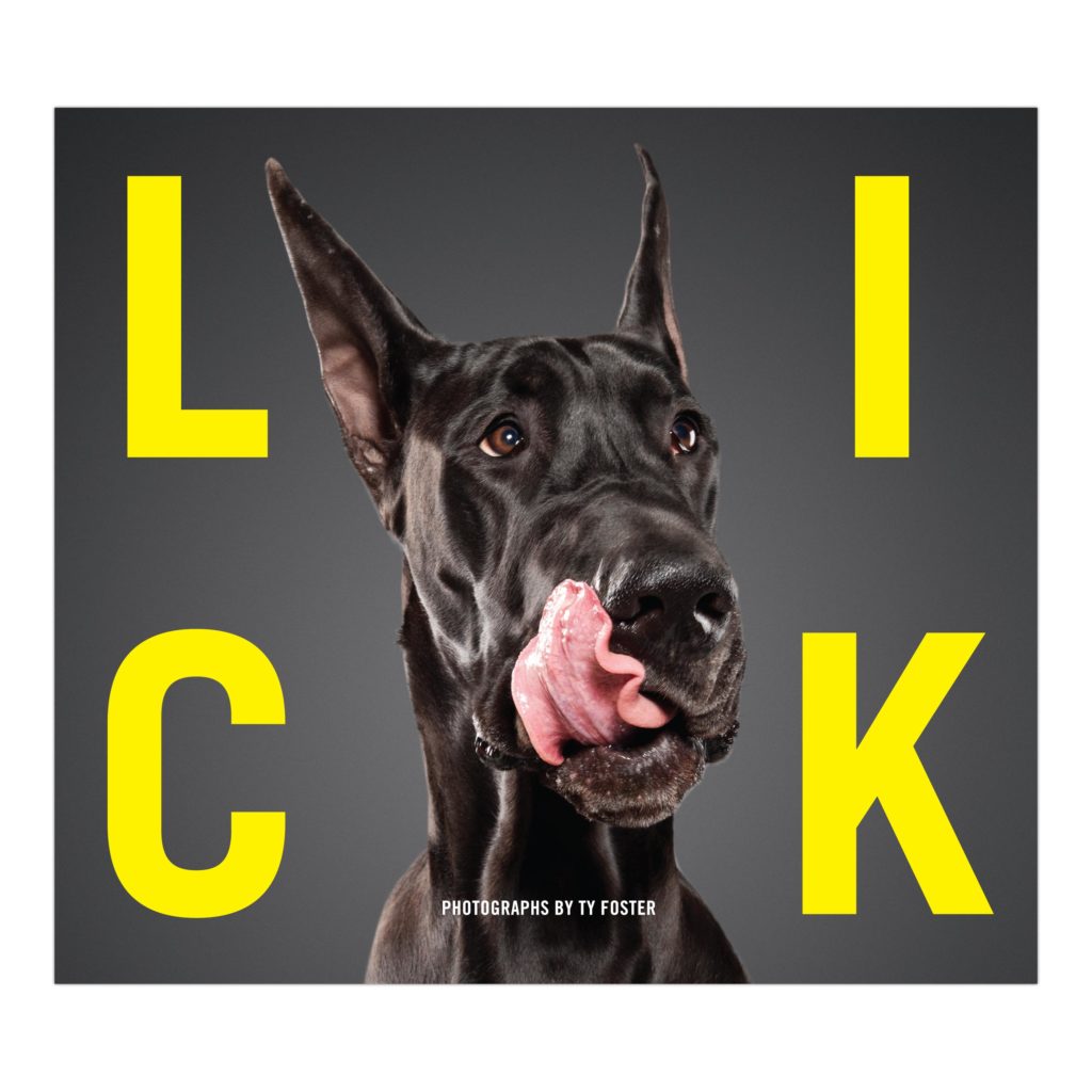 Image source: LICK, published by Knock Knock LLC © 2015 Ty Foster