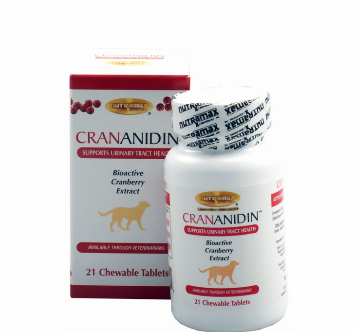 6 nutramax-s-crananidin-urinary-tract-support-chewable-21tabs-1