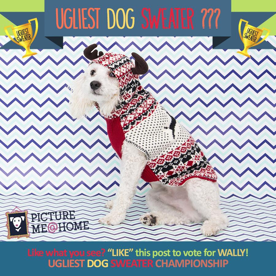 Ugly Dog Sweater Vote