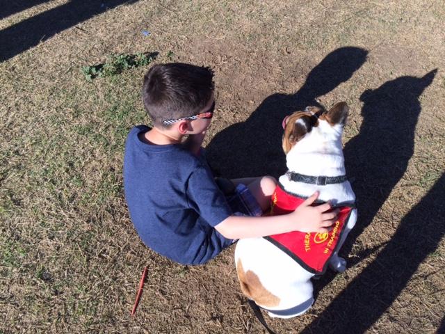 Caleb and another therapy dog, Jacques. Image source: Pawsitive Friendships