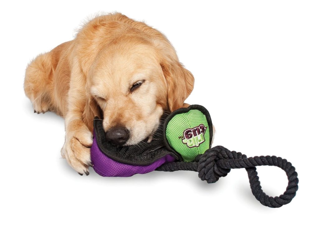 toys for dogs that like to dig