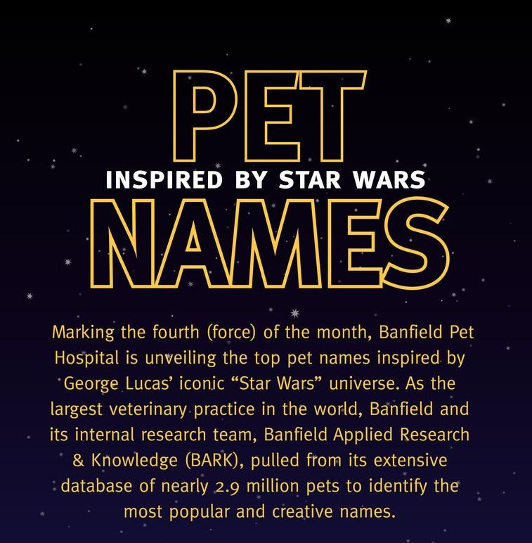 May the Fur Be With You: Banfield Pet Hospital Unveils Most Clever and Most Popular Star Wars-Inspired Pet Names (PRNewsFoto/Banfield Pet Hospital)
