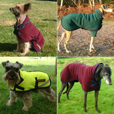 dog coat with buckles
