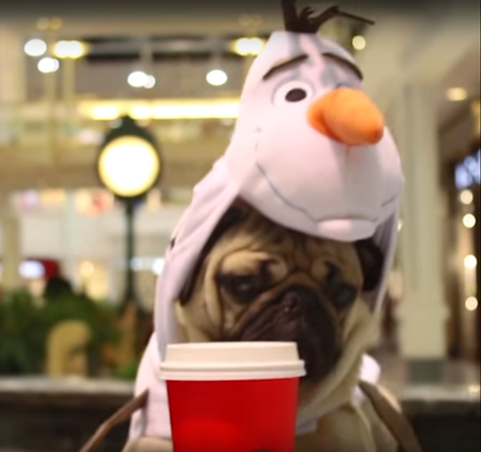 olafdougthepug2