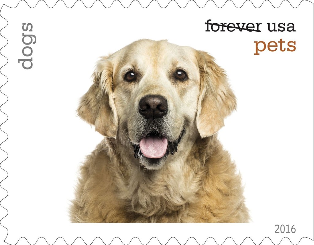 20 Forever USPS stamps Pets celebrate animals in our lives that bring joy companionship and love 1 sheet of 20 stamps