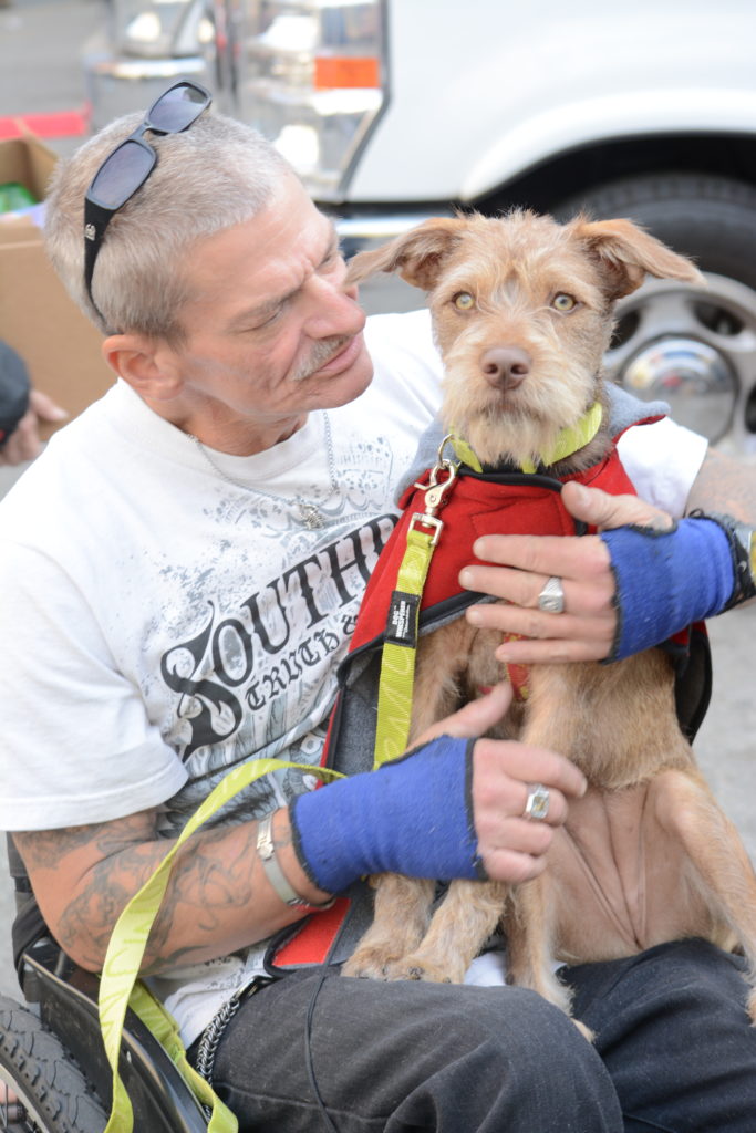 Image source: Hollywood Rescue Grooming