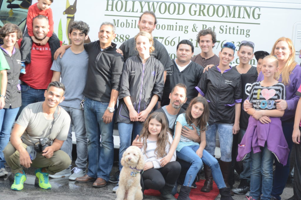 Image source: Hollywood Rescue Grooming