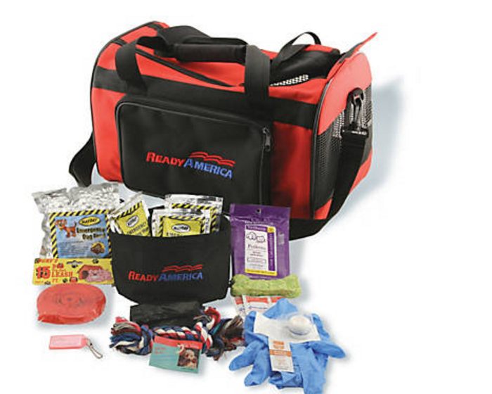 ds2 preparedness kit