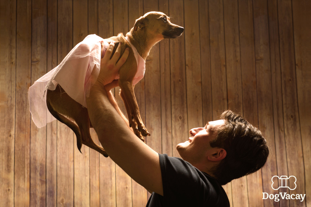 These 8 Iconic Movie Scene Re-enactments Will Remind You Why Your Dog Is  The Perfect Valentine