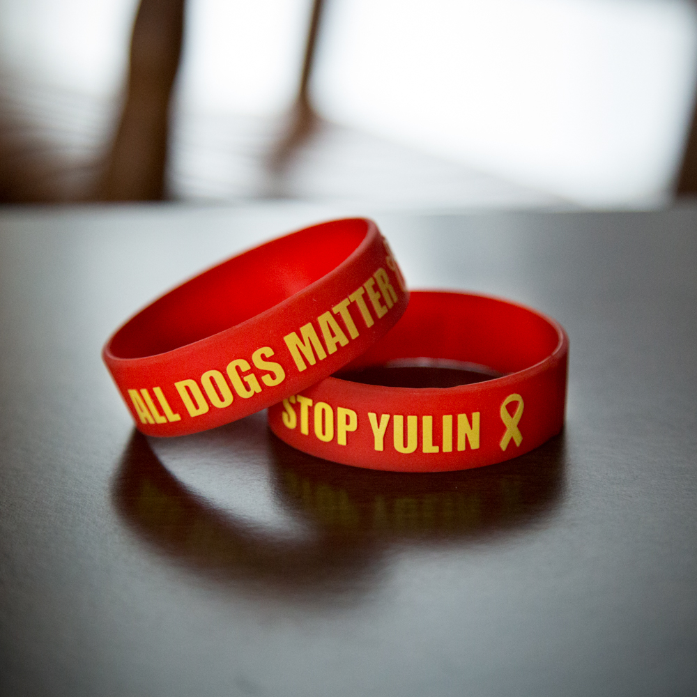 2 Pack “Stop Yulin” Silicone Wristbands