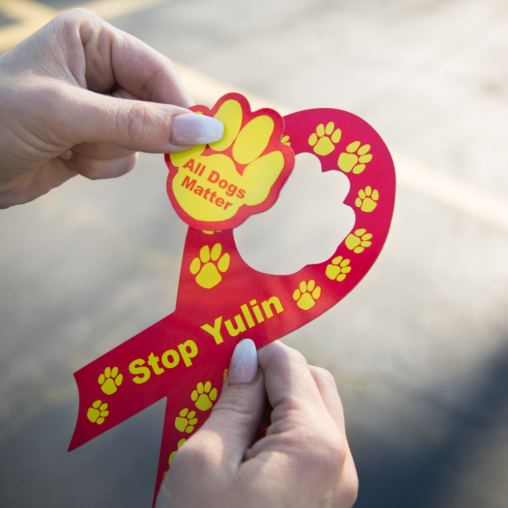 2 Pack “Stop Yulin” Magnets