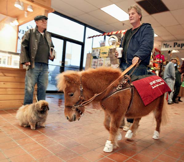  The Colorado bill only mention dogs, not horse service animals. Image source: @MichalAndersen via Flickr