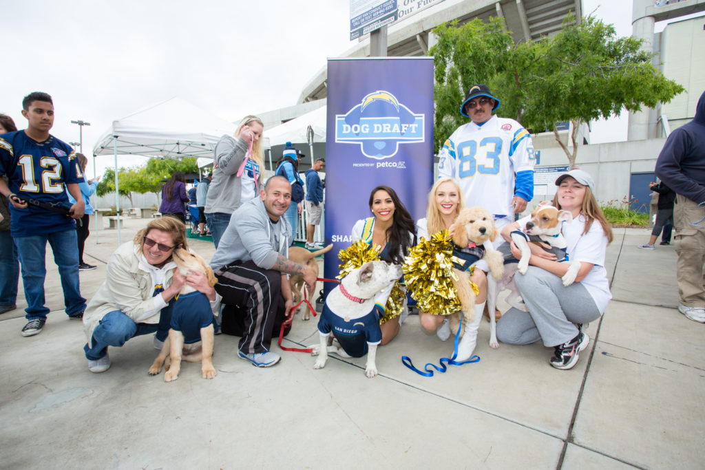 San Diego Chargers Host 'Dog Draft' For Shelter Pups Needing A Forever  'Team'