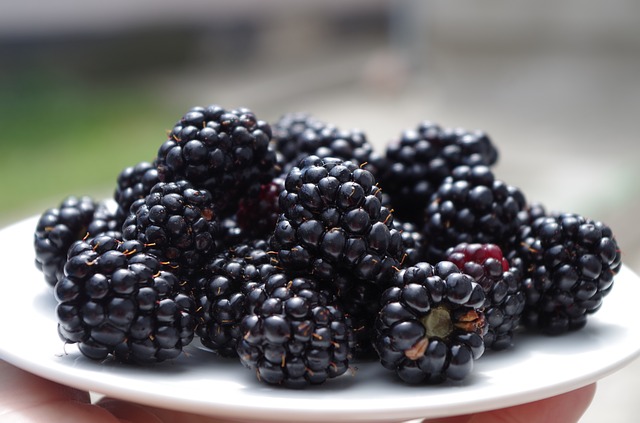 dc4 blackberries-1045728_640