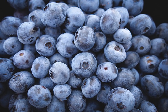 dc5 blueberries-690072_640