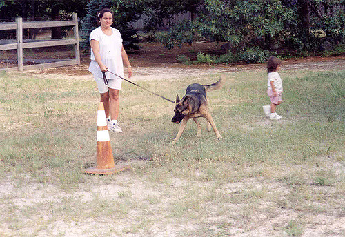 how do you leash train a german shepherd