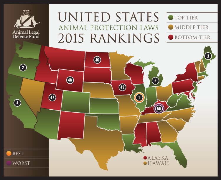 How Does Your State Rank In The War On Animal Cruelty?