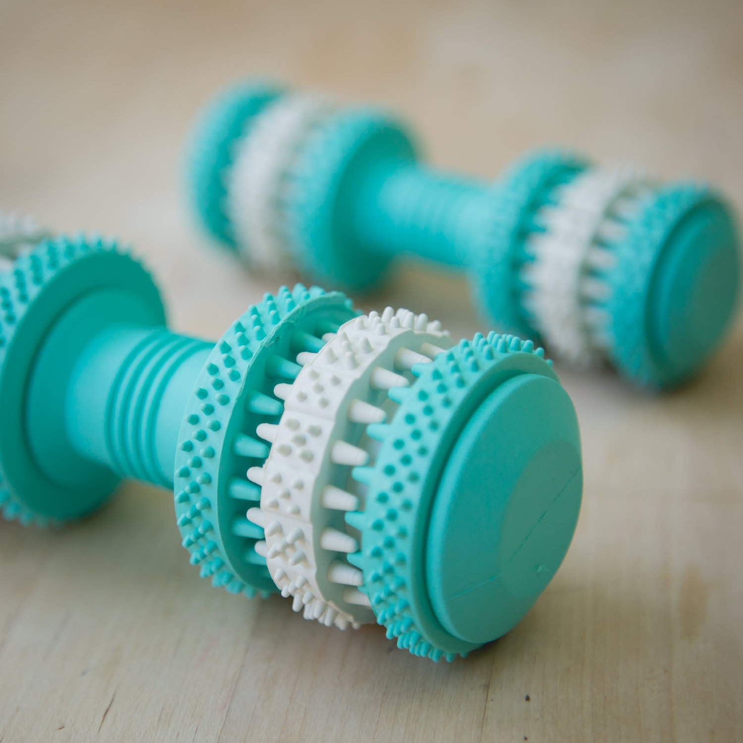 Fresh Mint Scented Brushing Bone by Project Play ...