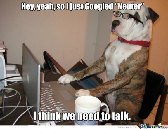 This doggy just researched what "Neuter" means and he's trying to be calm and rational about it. Drop a comment for this doggy! 