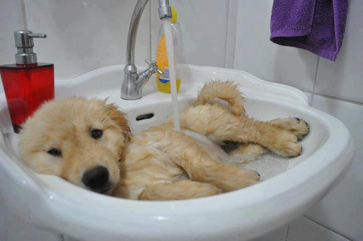 I'm waiting for my bath...This feels good! 