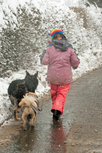 Dressing you and your dog properly, and staying on melted ground as much as possible can help avoid injury