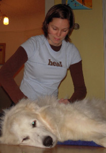 Massage is a holistic treatment your dog is sure to enjoy