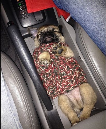 The road trip was exhausting.