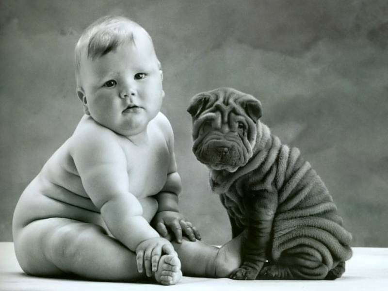 These two definitely know  how to pose! Love those rolls! :-)