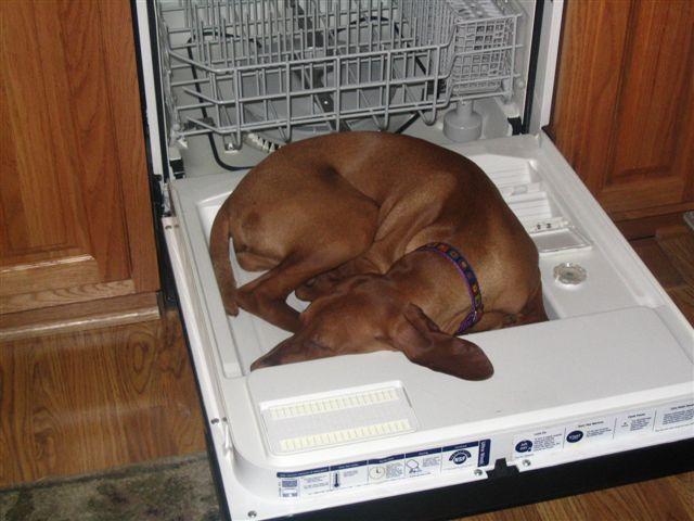Too tired to do the dishes! 