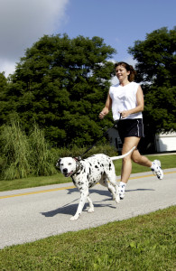 Offering jogs in a great benefit to clients and can help you stand out from other walkers.