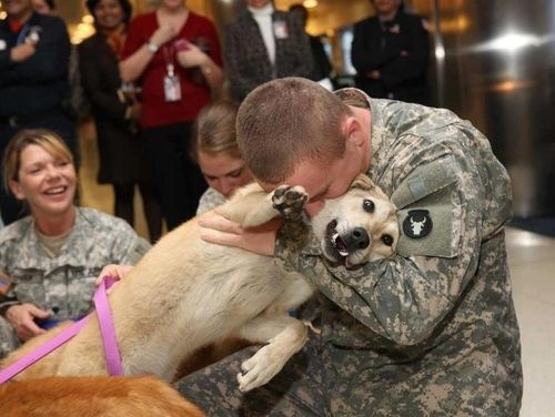 An inspiring and moving photo of two brave heroes reunited with each other. 