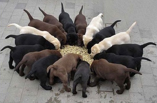 Eating together in a circle.. 