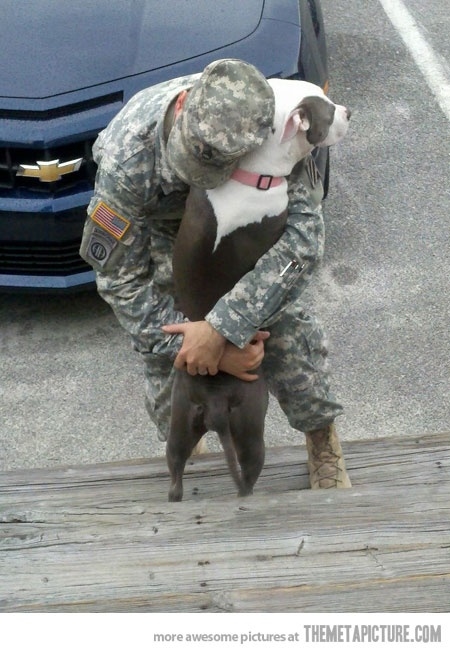 A soldier embraces his dog in his homecoming.